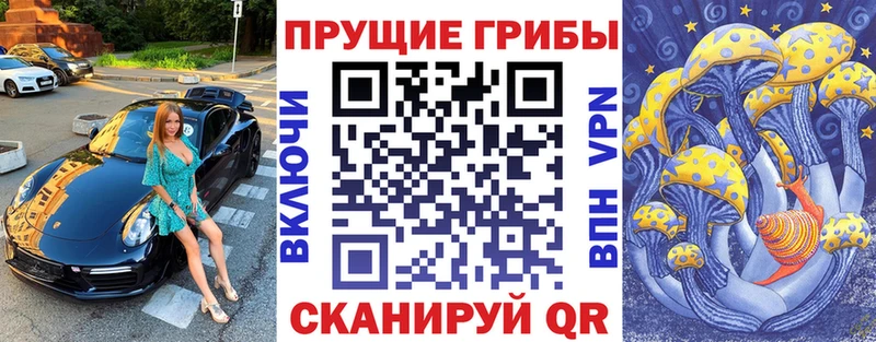 Галлюциногенные грибы Cubensis  Мураши 